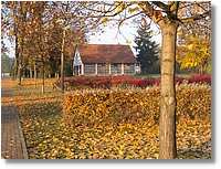 Friedhof_002.jpg