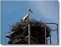 GubenerStr_027.jpg