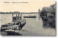 Muellrose_1910.jpg