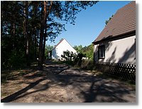 Waldweg_004.jpg